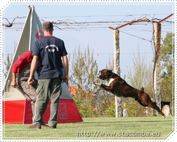 Bosse de Santa Comba 