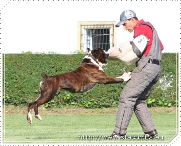 Bosse de Santa Comba 