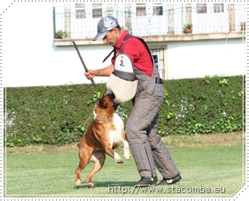 Isis de Trabadura 