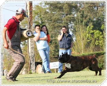 Nobel do Sul 